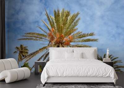 Group of date palms, blue sky background, veil clouds, a sunny day Wall mural