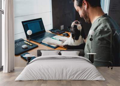 Man working at home or office and holding his liitle boston terrier dog.handsome man with laptop computer sitting at kitchen in home office. With a dog Wall mural