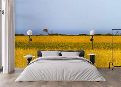 Coast of Salento near Otranto and Leuca at summer Wall mural