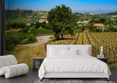 Country landscape near Orsogna and Bucchianico, Abruzzo, Italy Wall mural