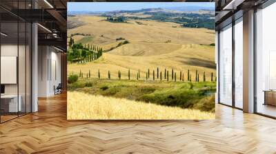 Crete Senesi (Tuscany, Italy) Wall mural