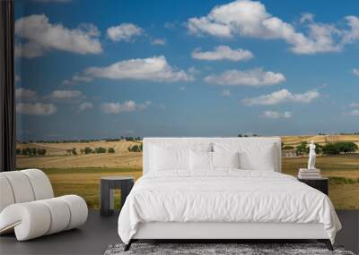 Rural landscape in Apulia at summer Wall mural