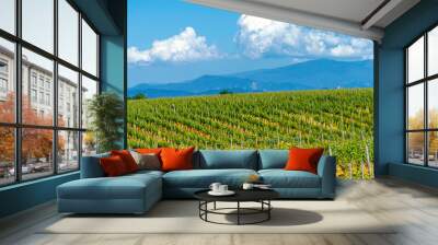 Vineyards of Monferrato near Gavi at springtime Wall mural