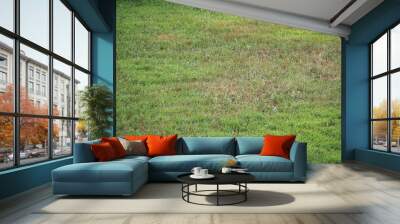 green meadow background Wall mural