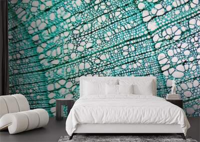 pine wood micrograph Wall mural