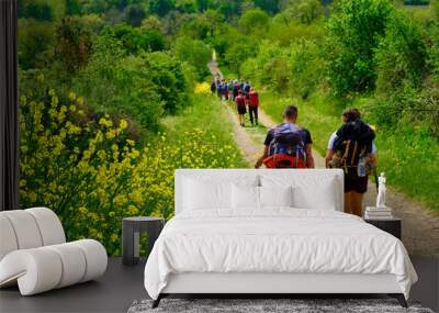 Pilgrims walking on the path to San Gimignano trough woods and yellow bushes. Solo Backpacker Trekking on the Via Francigena from Lucca to Siena. Walking between nature, history, churches, Wall mural