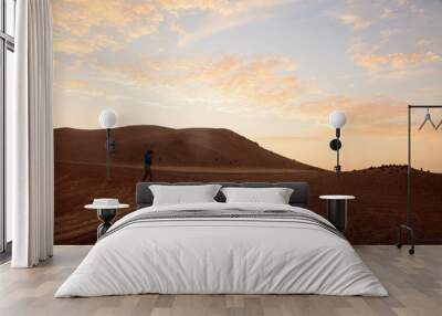 The desert in Paracas in Peru. Sun sea and sand Wall mural