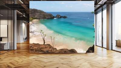 Beautiful view from above of the bay of Praia do Sancho in Fernando de Noronha Wall mural