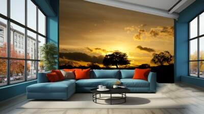 Silhouette of a tree at sunset Wall mural