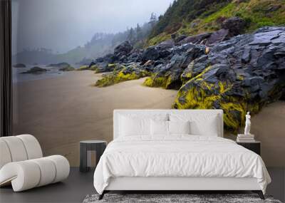 Misty weather creates an atmospheric backdrop for a secluded beach with rocky outcrops covered in bright green algae. The shoreline curves gently into the distant fog. Crescent Beach, Ecola Oregon. Wall mural