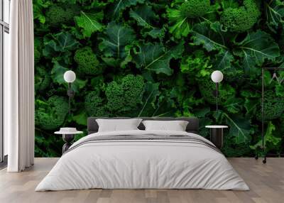 detailed view of fresh, green kale leaves with intricate textures and varying shades of green. Wall mural