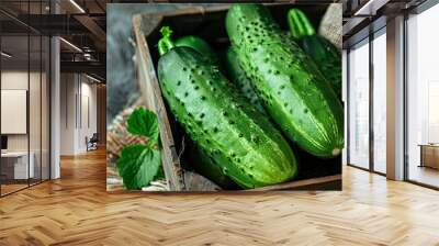 Fresh green organic  cucumbers with a rustic touch Wall mural