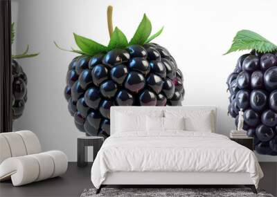 set of blackberry fruit isolated on transparent background  Wall mural