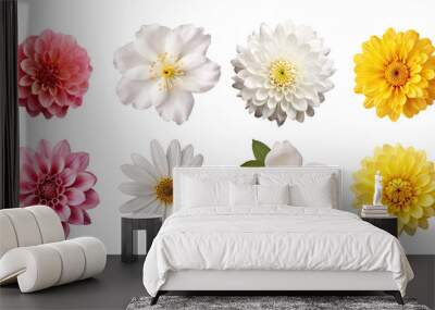 set of pink, white and yellow flowers  Wall mural