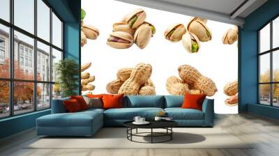 set of pistachio and peanuts  Wall mural