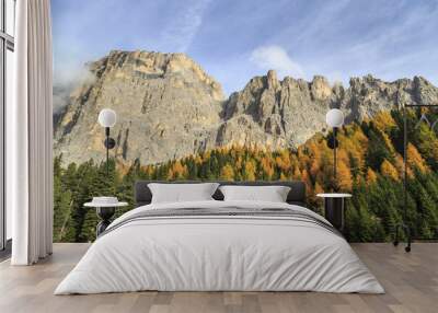 Colorful woods in autumn at Sella Pass. Dolomites Fassa Valley Trentino Alto Adige Italy Europe Wall mural