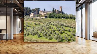 Farmhouse with vineyards and olive grove in Monteoliveto. Orcia Valley, Siena district, Tuscany, Italy. Wall mural