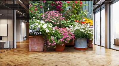  Patio garden with containers full of colorful flowers, Container gardening and flower display idea. Wall mural