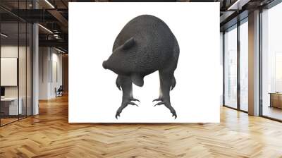 Koala Bear isolated on a Transparent Background Wall mural