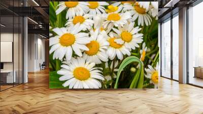 Bouquet of white daisies close-up Wall mural