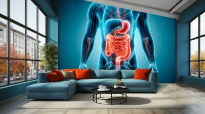 Human digestive system anatomy for medical concept 3D Illustration Wall mural