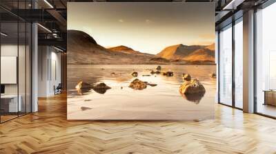 rannoch mor in winter with iced water and landscape. glencoe, highlands, scotland, uk. Wall mural