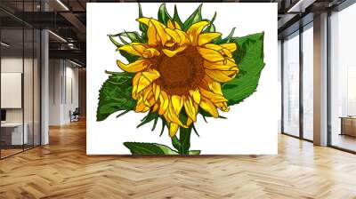 Isolated sunflower (a.k.a Helianthus) vector illustration. Wall mural