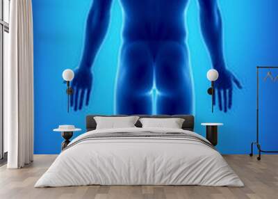 Male figure in anatomical position posterior  view Wall mural