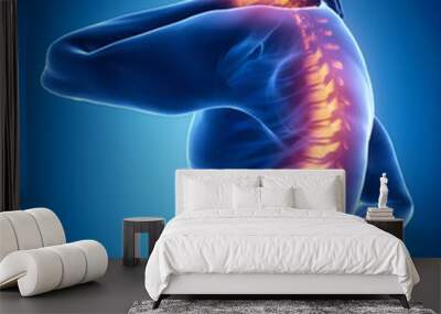 Spine injury pain in sacral and cervical region concept Wall mural