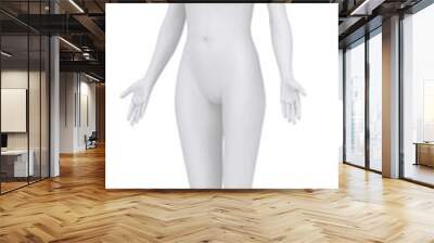 White female isolated in anatomical position dorsal view Wall mural