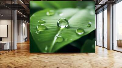 CO2 reducing icon on green leaf with water droplet for decrease CO2 , carbon footprint and carbon credit to limit global warming from climate change, Bio Circular Green Economy concept
 Wall mural