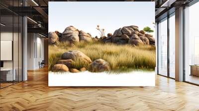 Savanna grass fields meadow with rocks 
 Wall mural