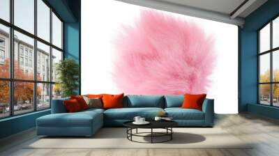 Fur ball isolated on white background Wall mural