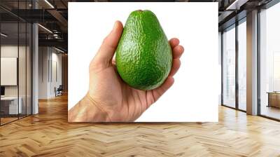 Hand holding an avocado, isolated on a white background. PNG Wall mural