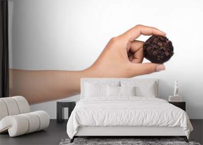 hand holding chocolate ball isolated on a white background Wall mural