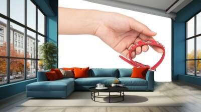 hand holding Red pet collar isolated on white background Wall mural