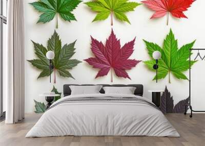 Maple leaves isolated on white background. Wall mural