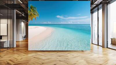 Panoramic view of deserted island with white sand beaches and palm trees. Wall mural