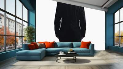 Businessman with open area for text. Wall mural