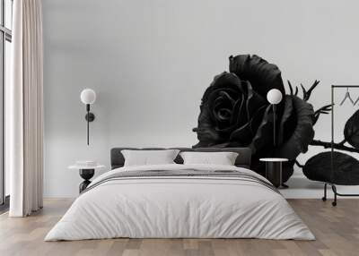 Black rose on white background with text space advertising, ads, branding. Wall mural