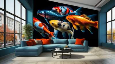 High resolution koi fish collection Wall mural