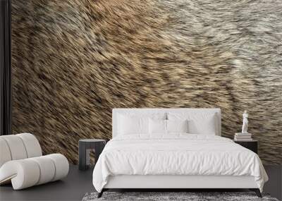 Macro close up of rabbit fur Wall mural