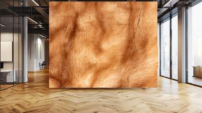 Macro mink stole background texture Wall mural