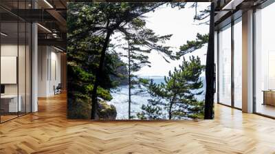 Trees Over Hang Cliff With Water in Background Wall mural