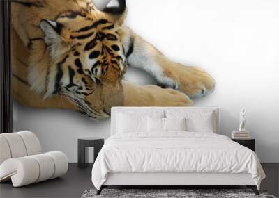 Tiger freigestellt auf weiss Wall mural