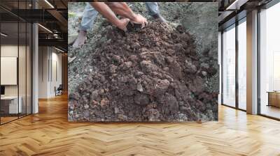 Preparing a ground nursery Bed for crops on farm Wall mural