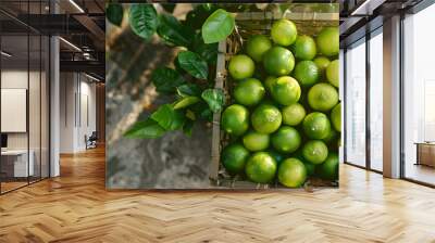  a bunch of lime on basket, harvesting season concept Wall mural