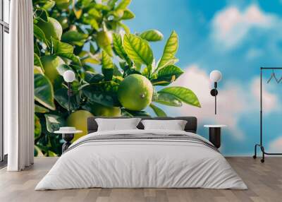 lime hanging on tree branch Wall mural