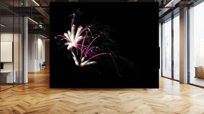 Pink and white fireorks display Wall mural