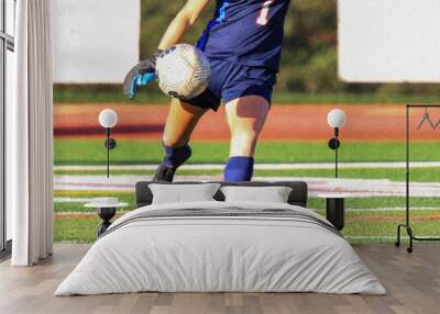 Soccer goalie kicking the ball Wall mural